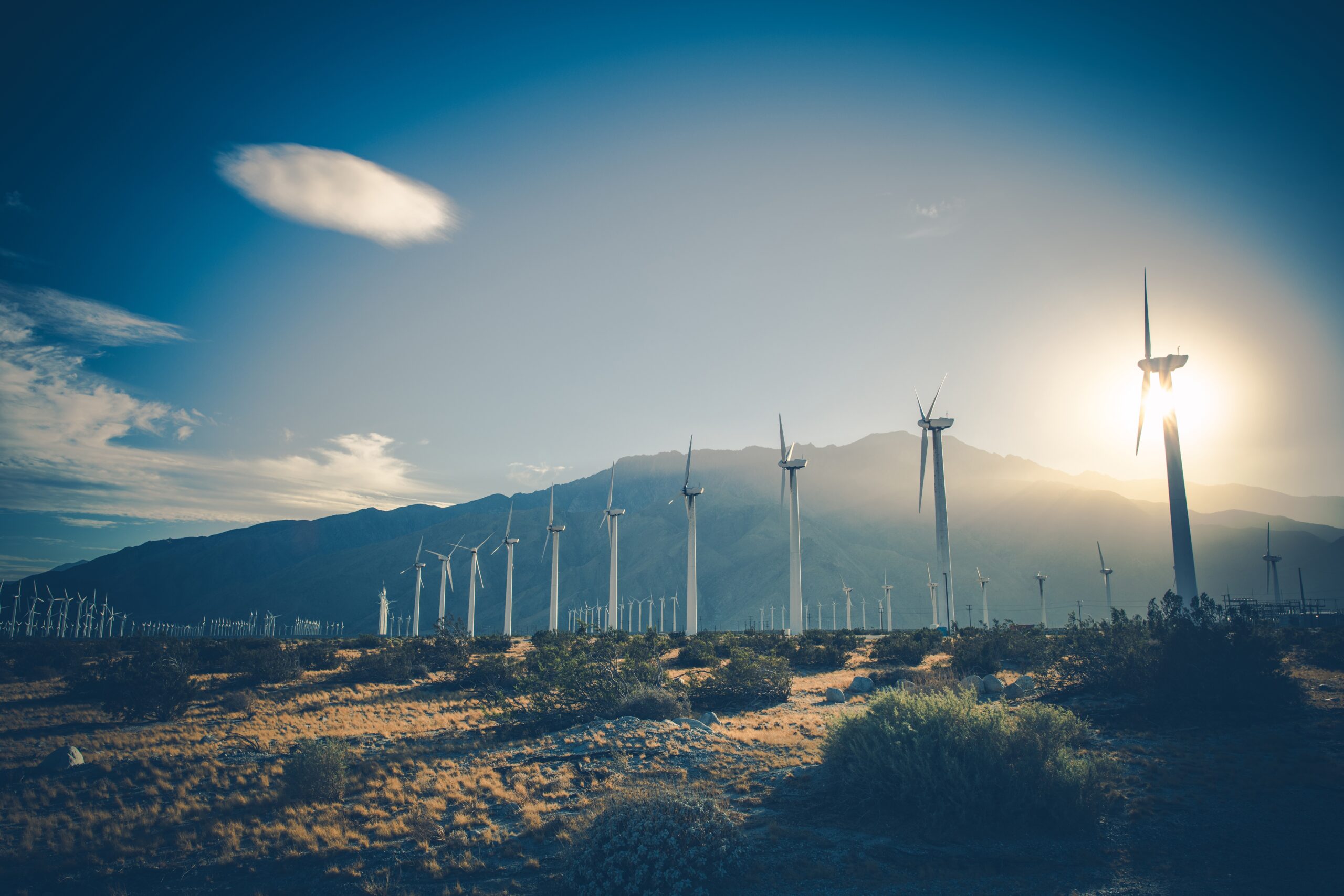 Understanding Renewable Energy Sources